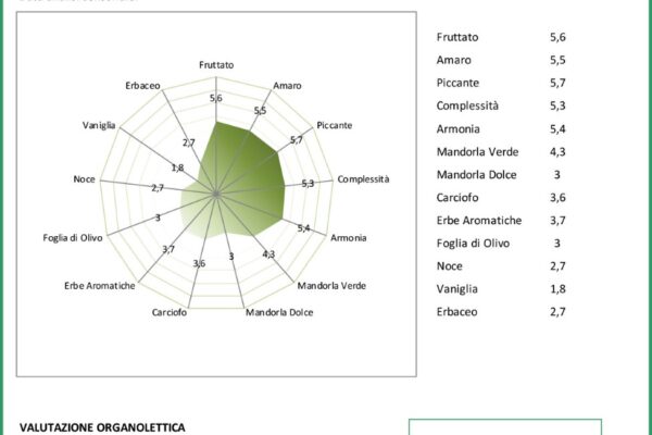 analisi sensoriale dell'olio: come si legge?